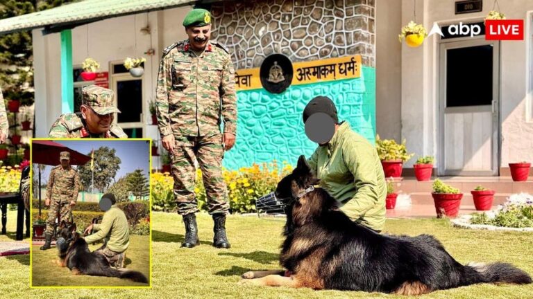 भारतीय सेना के बहादुर डॉग टायसन की अब कैसी है तबीयत? ऑपरेशन त्राशी-1 के दौरान पैरों में लगी थी गोली, मिल गया अपडेट