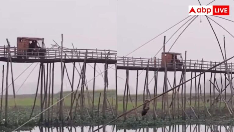 Viral Video: बांस-बल्ली के पुल पर धड़धड़ाते हुए दौड़ा दिया ई-रिक्शा, वीडियो देख कांपते दिल से बोले यूजर्स- वेलकम टू बिहार