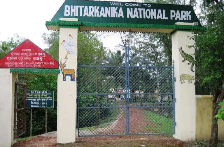 Forest dept urges district admin to evict six illegal hotels in Bhitarkanika | Bhubaneswar News